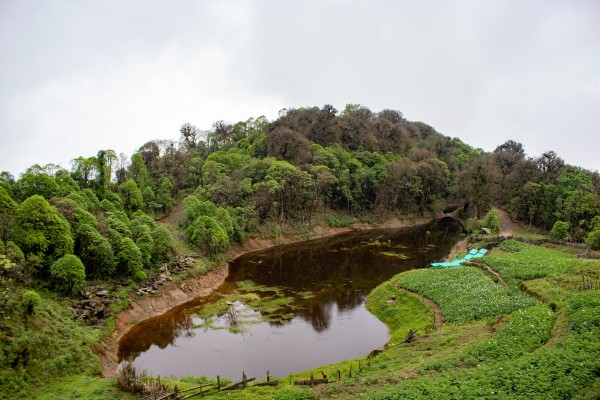 Dosser Red Panda Trail Circuit